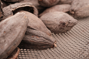 cacao bean drying chocolate