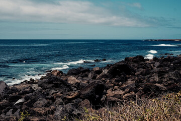 Fototapeta na wymiar Ocean beach Volcanic rock Galapagos islands Santa Cruz 