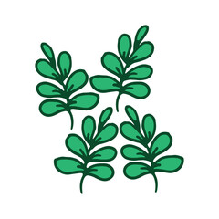 four green leaves on white background. healthy leaves, green outline, hand drawn vector. nature background. doodle art for logo, label, cover, poster, banner, sticker, clipart. cartoon style. 