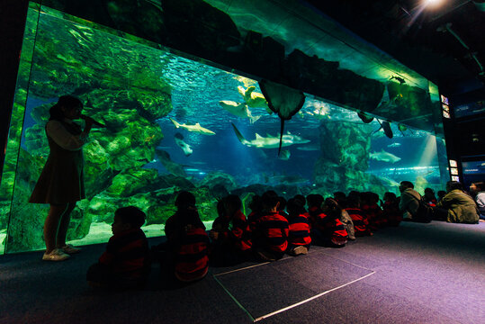 South Korea, Seoul - March, 2019 Coex Aquarium Children