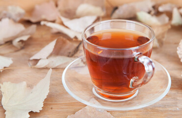 A cup of tea surrounded by dead leaves