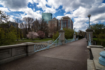 Boston Public Garden