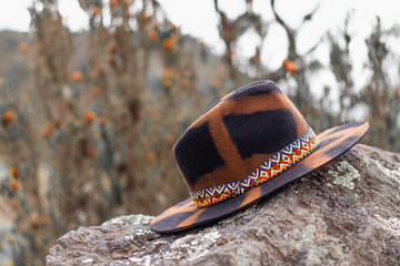 hat on a rock tree fashion black and brown 