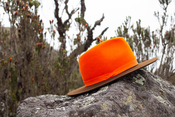 hat on a rock tree fashion orange