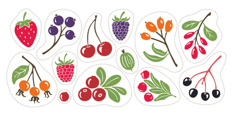 Bright and juicy berry set. Colorful stickers with contours for cutting down isolated on transparent background	