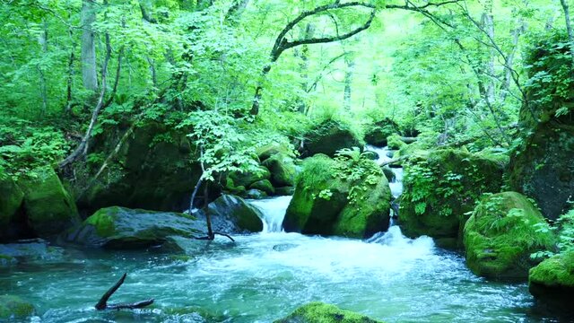 奥入瀬渓流の阿修羅の流れ