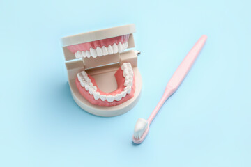 Fototapeta na wymiar Tooth brush and plastic jaw model on color background