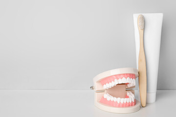 Model of jaw with tooth brush and paste on light background