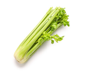 Fresh celery on white background