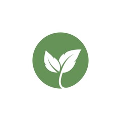 organic leaves icon vector design template