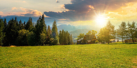 rural landscape in tatra mountains at sunset. spruce trees on the green grassy meadow of gubalowka...