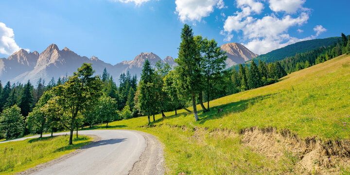 asphalt road through forested mountains. beautiful countryside transportation background. composite landscape with high tatra ridge in the distance. sunny weather in summertime
