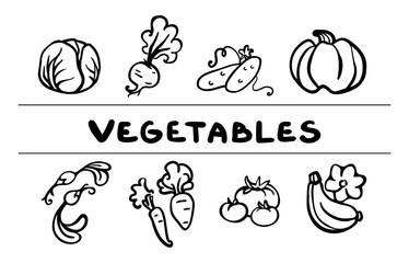 Set of  outline vegetables icons for your design. Hand-drawn vector clipart. Pumpkin, cabbage, carrot, cucumber, tomato, radish, beetroot, squash