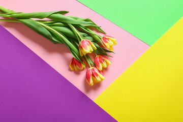 A bouquet of tulips as a gift for March 8, Mother's Day, Valentine's Day. Easter decor. Top view. Flowers tulips on a colorful background.