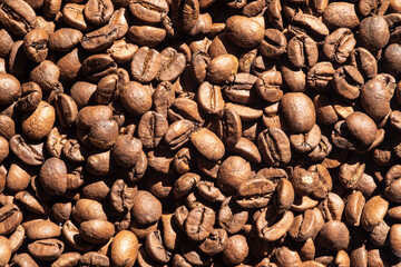 Texture of brazilian roasted coffee beans seen from above