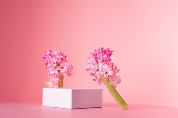 Romantic elegance white square podium with levitate spring hyacinth flowers in sunlight on soft light pastel pink background, copy space. Fashion fresh showcase.