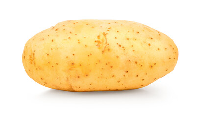 Potato isolated on white backgroun