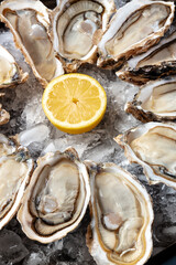 Oyster on ice, close-up with a lemon © laplateresca