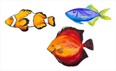 set of watercolor marine tropical fish. Isolated bright sea fish in watercolor technique on a white...