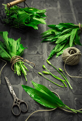 Wild garlic - Ramson or bear leek (Allium ursinum) on old kitchen table