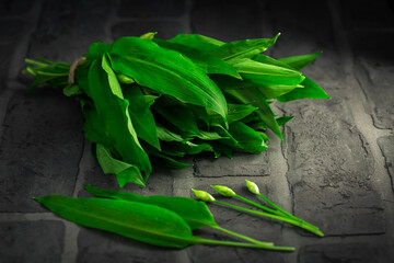 Wild garlic - Ramson or bear leek (Allium ursinum) on old kitchen table