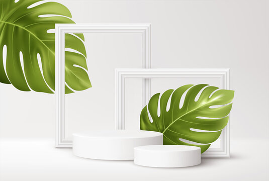 Realistic white Product podium with white picture frames and green tropical monstera leaves isolated on white background. Blank background for product advertising. Vector illustration