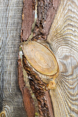 A dark brown cut of a wooden fence board.
