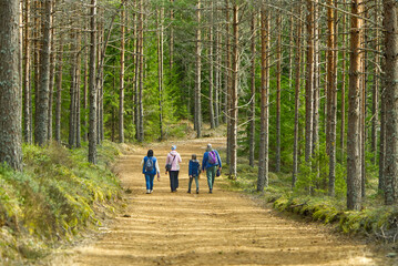 Family walking on spring forest. walking trails in the forest for the whole family. healthy lifestyle concept