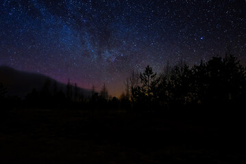 Beautiful night sky colors. Colorful night sky and trees. night scene in swamp under sky of stars