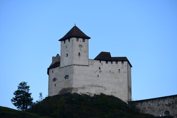 Fototapeta na wymiar old castle in the country