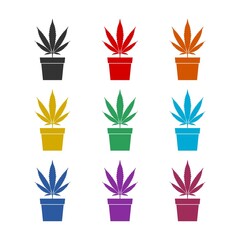 Medical marijuana or cannabis plant in pot icon isolated on white background color set