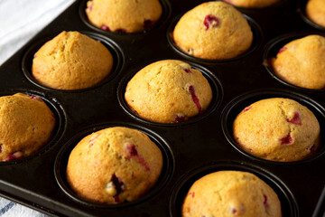 Homemade Cranberry Muffins with Orange Zest in a baking pan, low angle view. Close-up.
