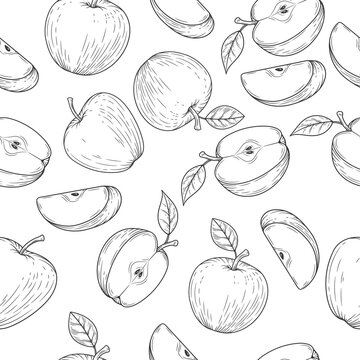 Apple seamless pattern engraved vintage illustration isolated on white background. Organic food hand drawn sketch . Black outline.