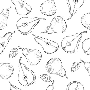 Pear seamless pattern engraved vintage illustration isolated on white background. Organic food hand drawn sketch . Black outline.