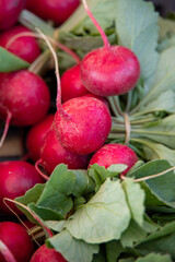 Close up shot on a bunch beautiful, bright red radishes with green leaves, on sale in an italian organic food market. healthy farmer's market produce.