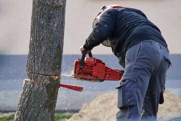 Arbeiter sägt einen Baum um