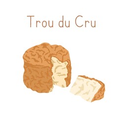 Gourmet Trou du Cru cheese with orange rind. Cut triangle piece of delicious French creamy soft chees. Colored flat vector illustration of straw-flavored delicatessen isolated on white background
