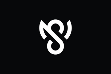 Creative Innovative Initial SN logo and NS logo. NS Letter Minimal luxury Monogram. SN Professional initial design. Premium Business typeface. Alphabet symbol and sign.