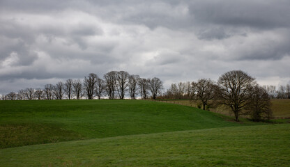 landscape with trees and clouds in Brabant Walloon near  Wavre - obrazy, fototapety, plakaty