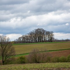 Obraz premium Agricultural landscape with trees and threatening clouds in Ottenburg (Ottembourg) in Brabant, Belgium