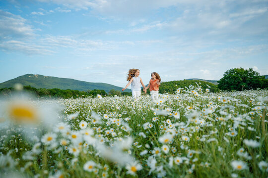 Cute child girl at chamomile field. A group of children play and run in a field with flowers. High quality photo.