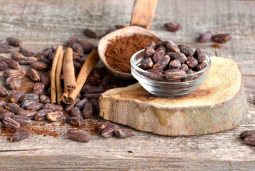 Cocoa beans in a glass bowl on a wooden background and sprinkled on the floor. Powdered cocoa and cinnamon sticks in a spoon
