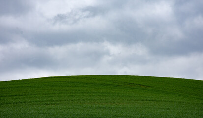 endless landscape: green field and cloudy sky in Brabant, Belgium