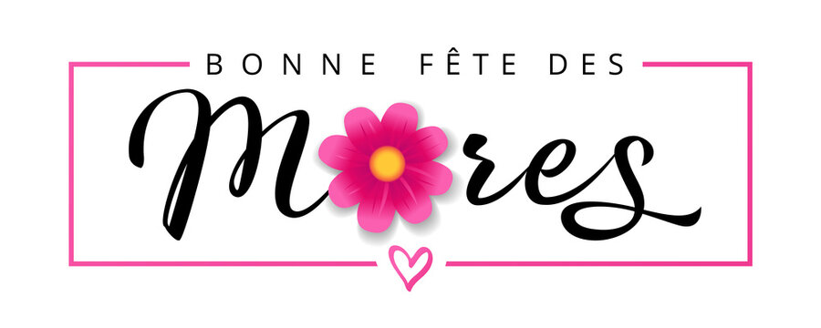Bonne fete des Meres French text for Mothers Day, flower and calligraphy banner. Elegant quote for web poster, with Mother's Day Frenchy lettering and flower in pink frame. Vector illustration