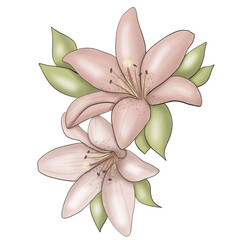 Flowers Bouquet Background Hand Drawn Illustration	