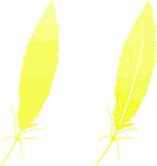 Yellow gradient feather set