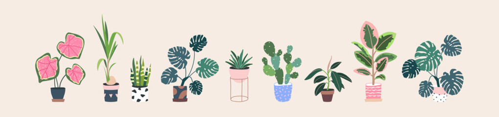 Home plants in flowerpot. Houseplants isolated. Trendy hugge style, urban jungle decor. Hand drawn. Set collection. Green, blue, pink, brown, beige pastel colors. Print, poster, banner. Logo, label.
