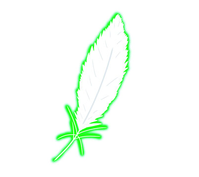Material of white feathers shining green