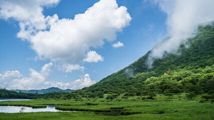 Fototapeta premium 夏の覚満淵