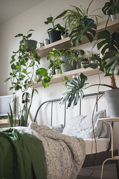urban jungle interiour with tropical frowers in badroom